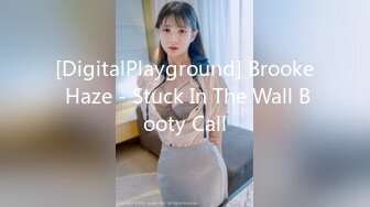 [DigitalPlayground] Brooke Haze - Stuck In The Wall Booty Call