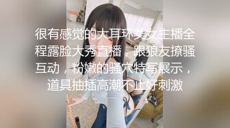 麻豆传媒华语AV剧情新作-突袭会员性爱福利 尺度大开 淫靡豪礼 淫语浪叫 美乳女神夏晴子