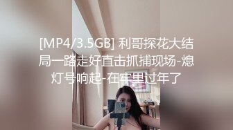 [MP4/3.5GB] 利哥探花大结局一路走好直击抓捕现场-熄灯号响起-在牢里过年了