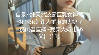 国产麻豆AV 涩会 SH011 出轨的少妇 新人女优 刘素娅