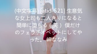 (中文字幕) [atid-521] 生意気な女上司も二人きりになると簡単に堕ちる（笑） 僕だけのフェラチオペットにしてやった。 岬ななみ