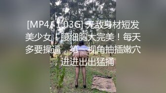 操公司小情人