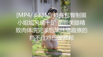 [HJ-026] 隠撮 女教師おしっこ 3 12時限目