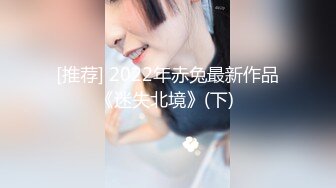 [推荐] 2022年赤兔最新作品《迷失北境》(下) 