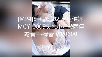 星空无限传媒XKG046服务员偷偷下药让屌丝富少迷奸巨乳空姐