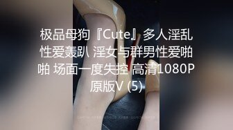 【新片速遞】&nbsp;&nbsp;商场女厕全景偷拍连衣裙美女❤️阴毛杂乱的小肥鲍鱼[318M/MP4/04:17]