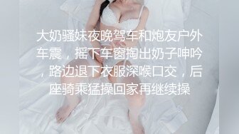 ⭐第一女神，【ho7-shi】，江南女子的婉约与风情，多种风格不断切换，跳蛋塞逼水汪汪，半遮半掩间让粉丝疯狂 (1)