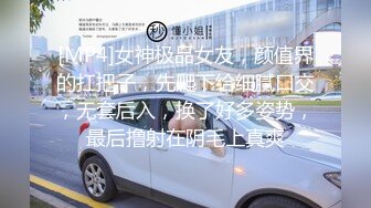 [MP4]女神极品女友，颜值界的扛把子，先爬下给细腻口交，无套后入，换了好多姿势，最后撸射在阴毛上真爽