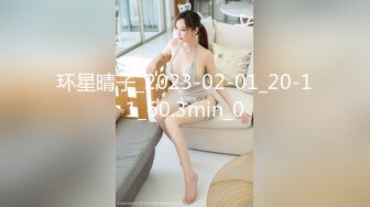 [FHD/8.20G]RBD-352 痴漢映画館 2 西野翔【BVPP】