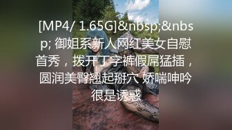 [MP4]MM088 麻豆传媒 无套系列 下流母狗羞耻露出 吴梦梦 VIP0600