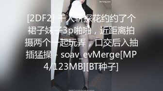 [2DF2] 公司聚餐放倒心仪的美女同事带到酒店各种噼噼啪 - soav_evMerge[MP4/138MB][BT种子]