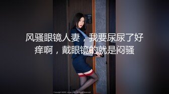 美胸女上位