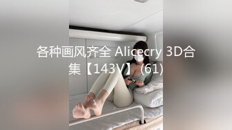 各种画风齐全 Alicecry 3D合集【143V】 (61)