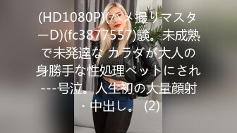 91新人陳永仁原創大片,顏值超高的影樓化妝師(VIP)