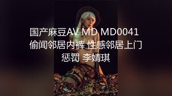 国产麻豆AV MD MD0041 偷闻邻居内裤 性感邻居上门惩罚 李婧琪