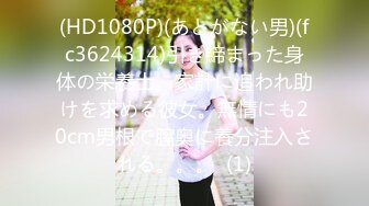 淫娃御姐 窈窕身材170cm大长腿车模女神▌淑怡▌平面模特的沦陷 上 大屌后入爆肏网丝女神 内射小穴