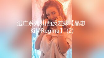 逃亡系列 山西反差婊【晶崽 KiMRegina】 (2)