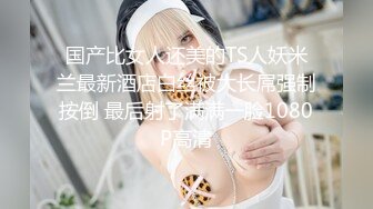 国产CD系列伪娘『艾草』男厕露出假屌慰菊看呆外卖小 哥和大爷